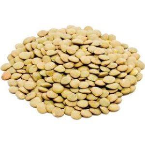 عدس کانادایی درجه یک فله ای - 1 کیلو گرم